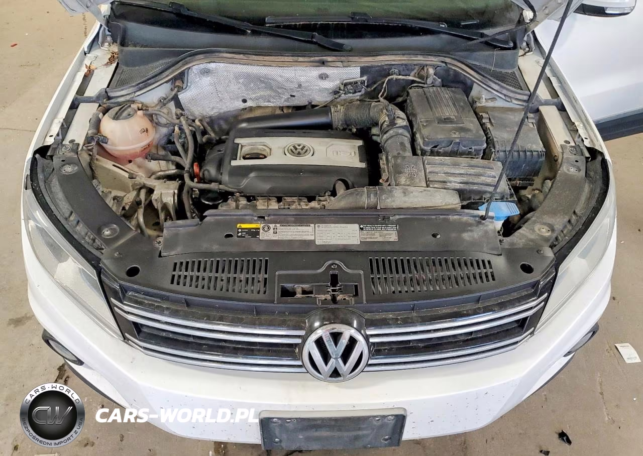 2013 Volkswagen Tiguan S VIN:WVGBV3AX5DW587169 - 12