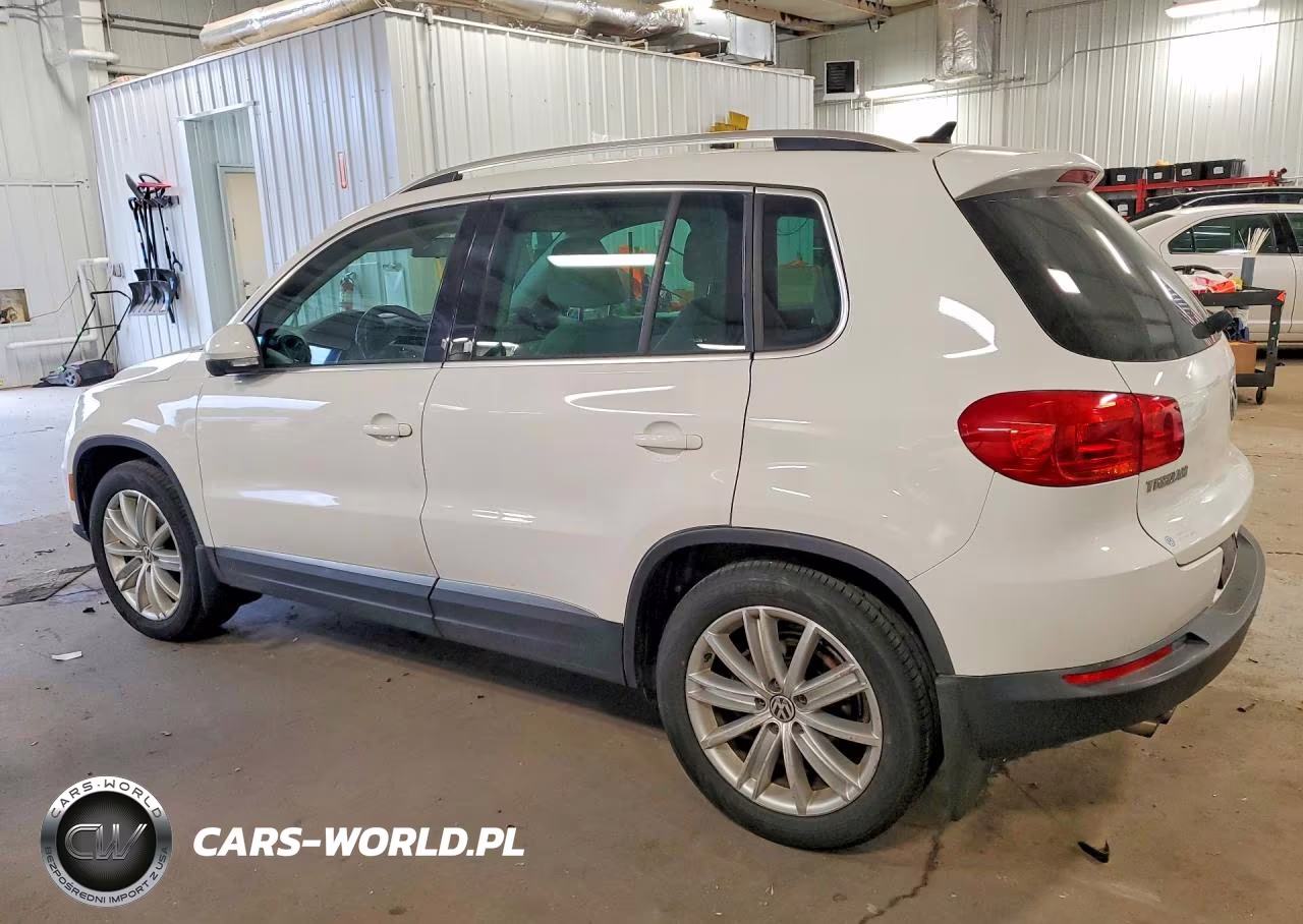 2013 Volkswagen Tiguan S VIN:WVGBV3AX5DW587169 - 2