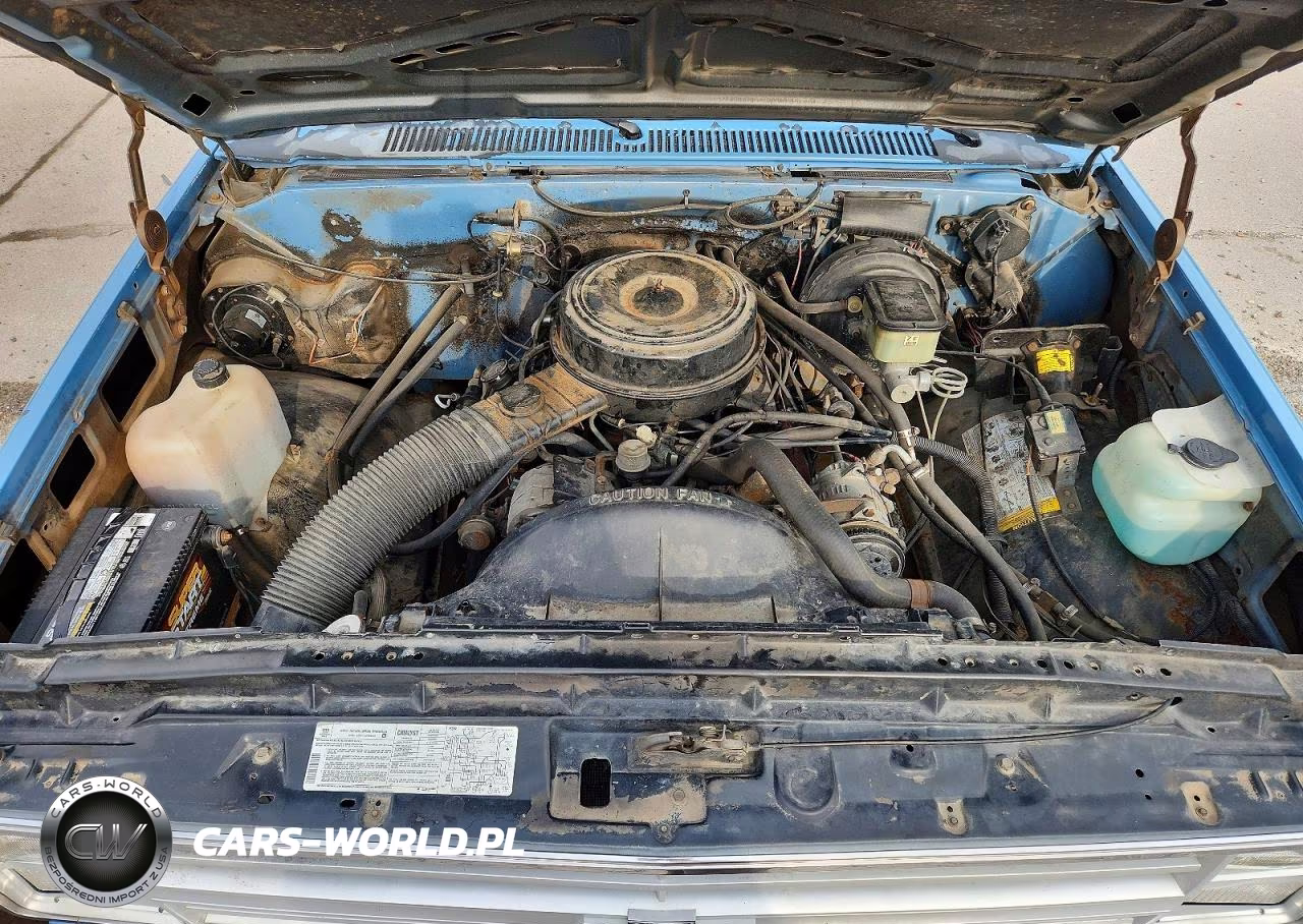 1986 Chevrolet K10 VIN:1GCEK14H4GJ183929 - 11