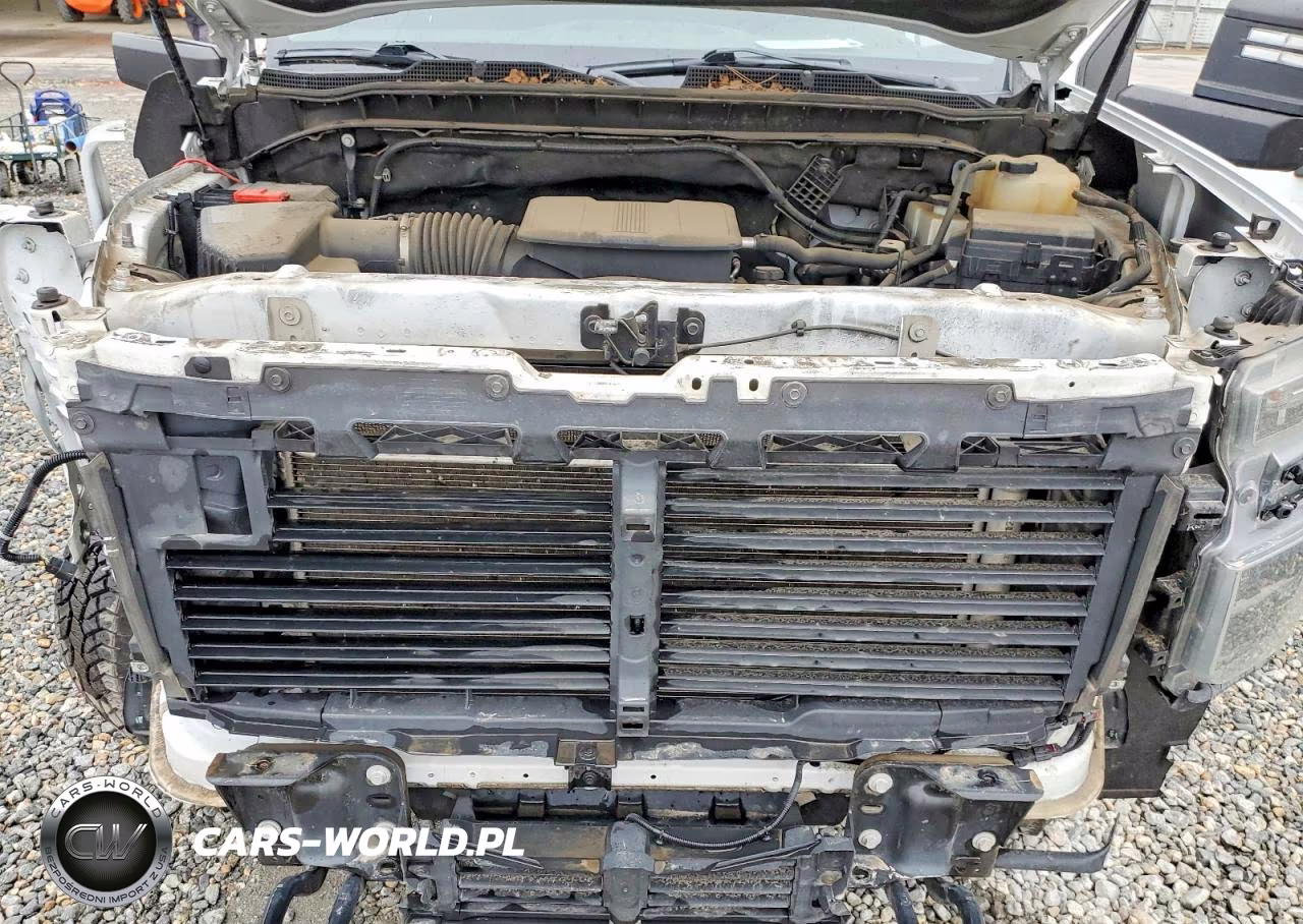 2020 Chevrolet Silverado K2500 Heavy Duty VIN:1GC5YLE72LF193498 - 11