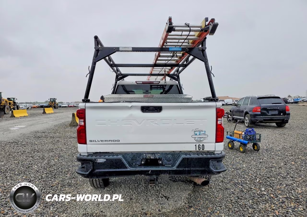 2020 Chevrolet Silverado K2500 Heavy Duty VIN:1GC5YLE72LF193498 - 6