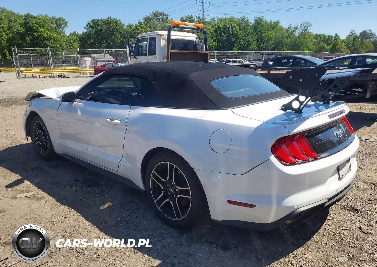 2022 Ford Mustang VIN:1FATP8UHXN5124817 - 2