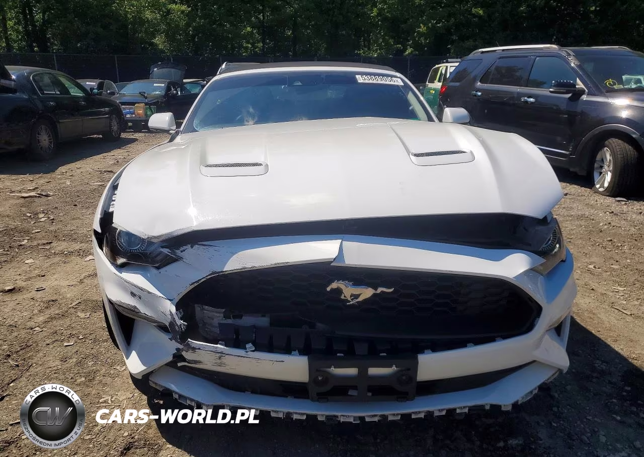 2022 Ford Mustang VIN:1FATP8UHXN5124817 - 5