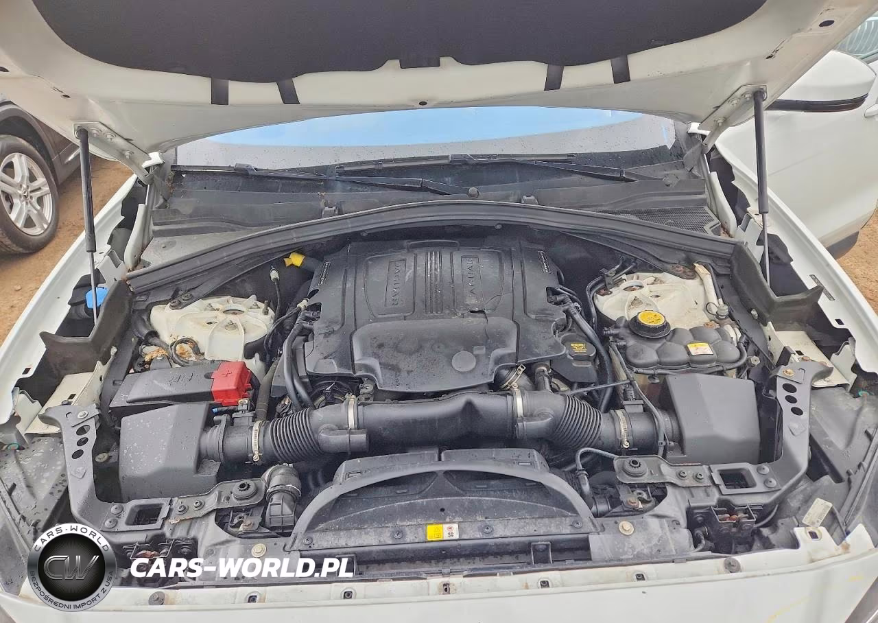 2018 Jaguar F-Pace Premium VIN:SADCJ2EV1JA257419 - 11