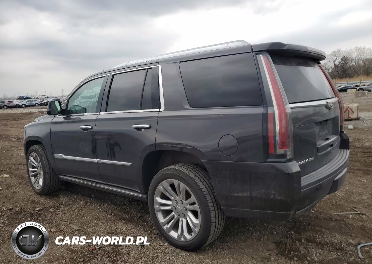 2017 Cadillac Escalade Premium Luxury VIN:1GYS4CKJ0HR352310 - 2