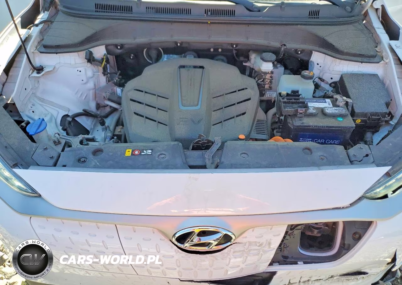 2019 Hyundai Kona Ultimate VIN:KM8K53AG0KU040173 - 11