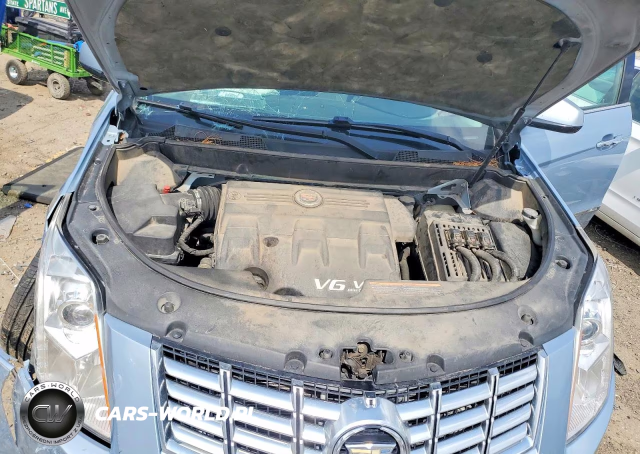 2013 Cadillac Srx Luxury VIN:3GYFNCE34DS566378 - 12