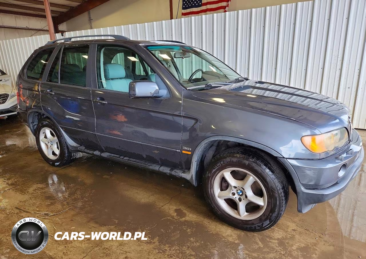 2003 BMW X5 3.0I VIN:5UXFA53583LV96259 - 4