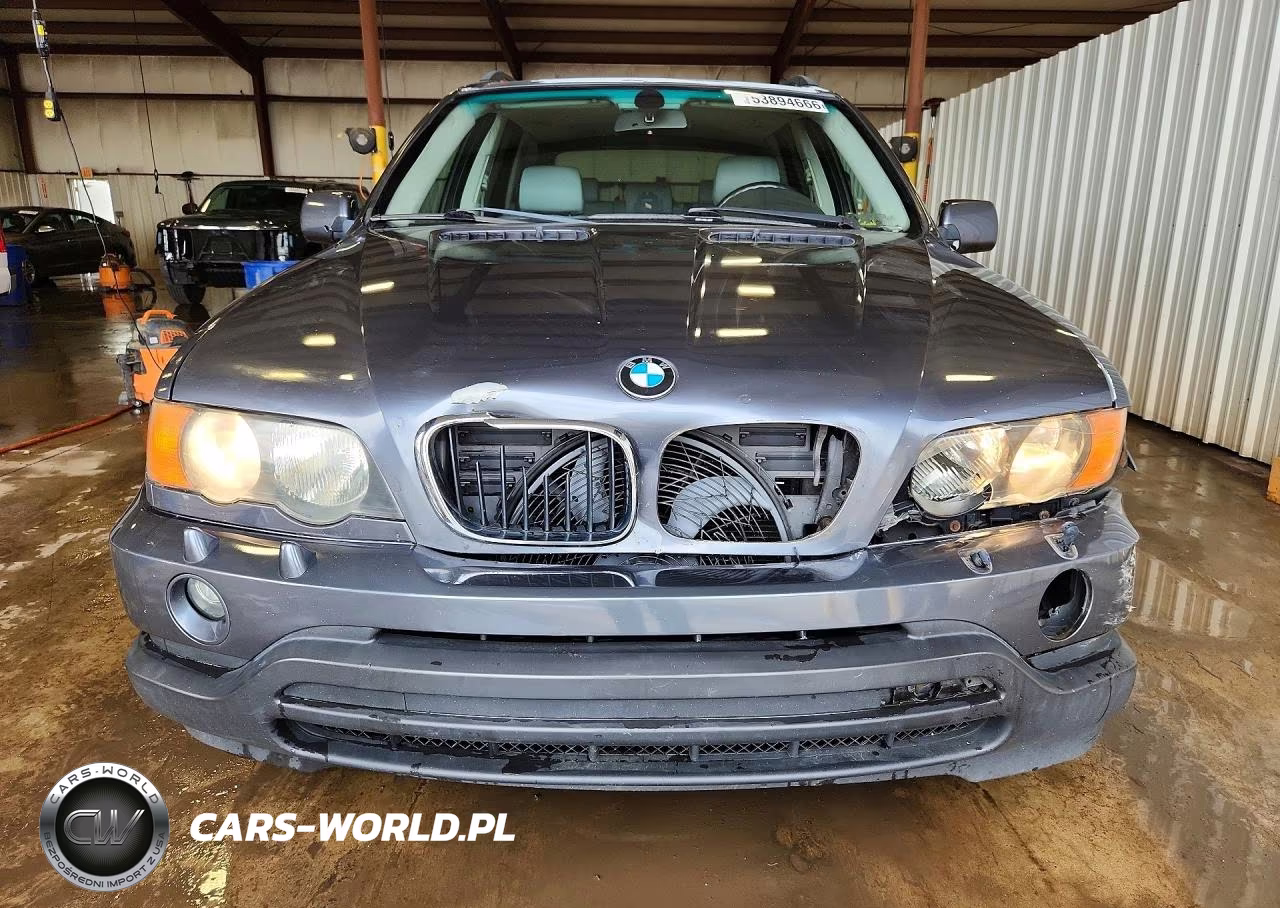 2003 BMW X5 3.0I VIN:5UXFA53583LV96259 - 5