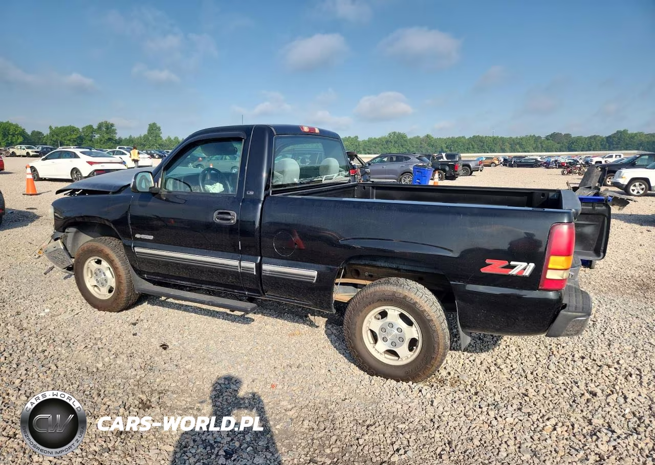 1999 Chevrolet Silverado K1500 VIN:1GCEK14TXXZ196013 - 2