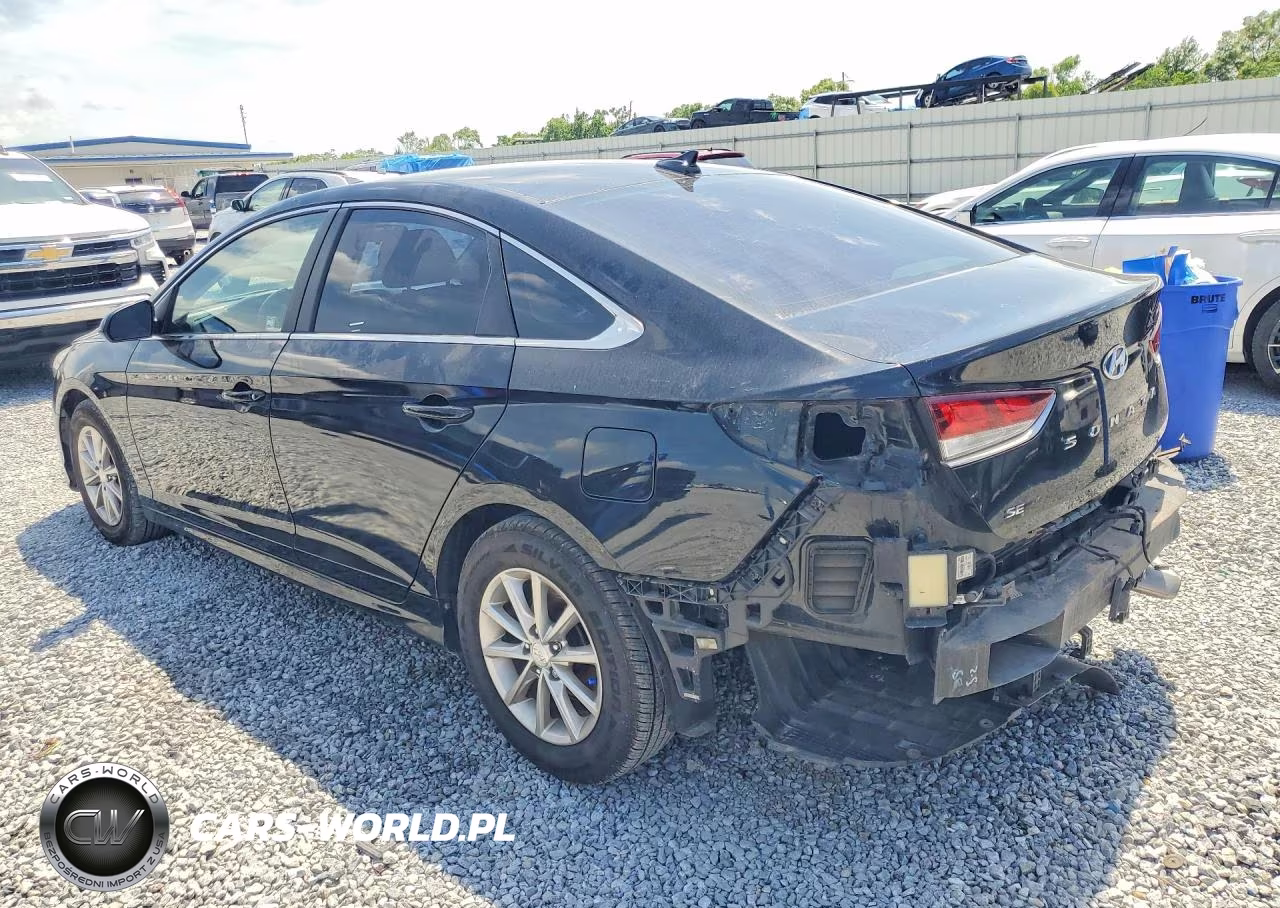 2019 Hyundai Sonata Se VIN:5NPE24AF8KH794293 - 2