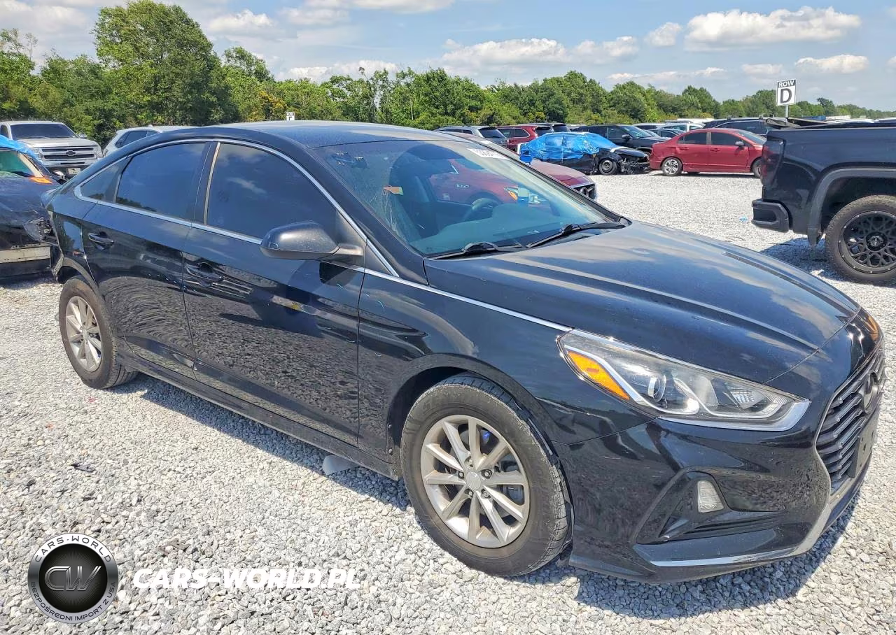 2019 Hyundai Sonata Se VIN:5NPE24AF8KH794293 - 4