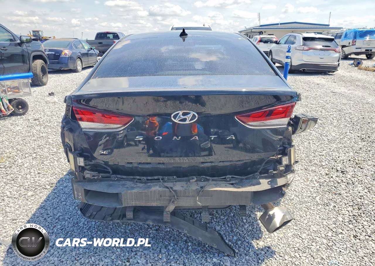 2019 Hyundai Sonata Se VIN:5NPE24AF8KH794293 - 6