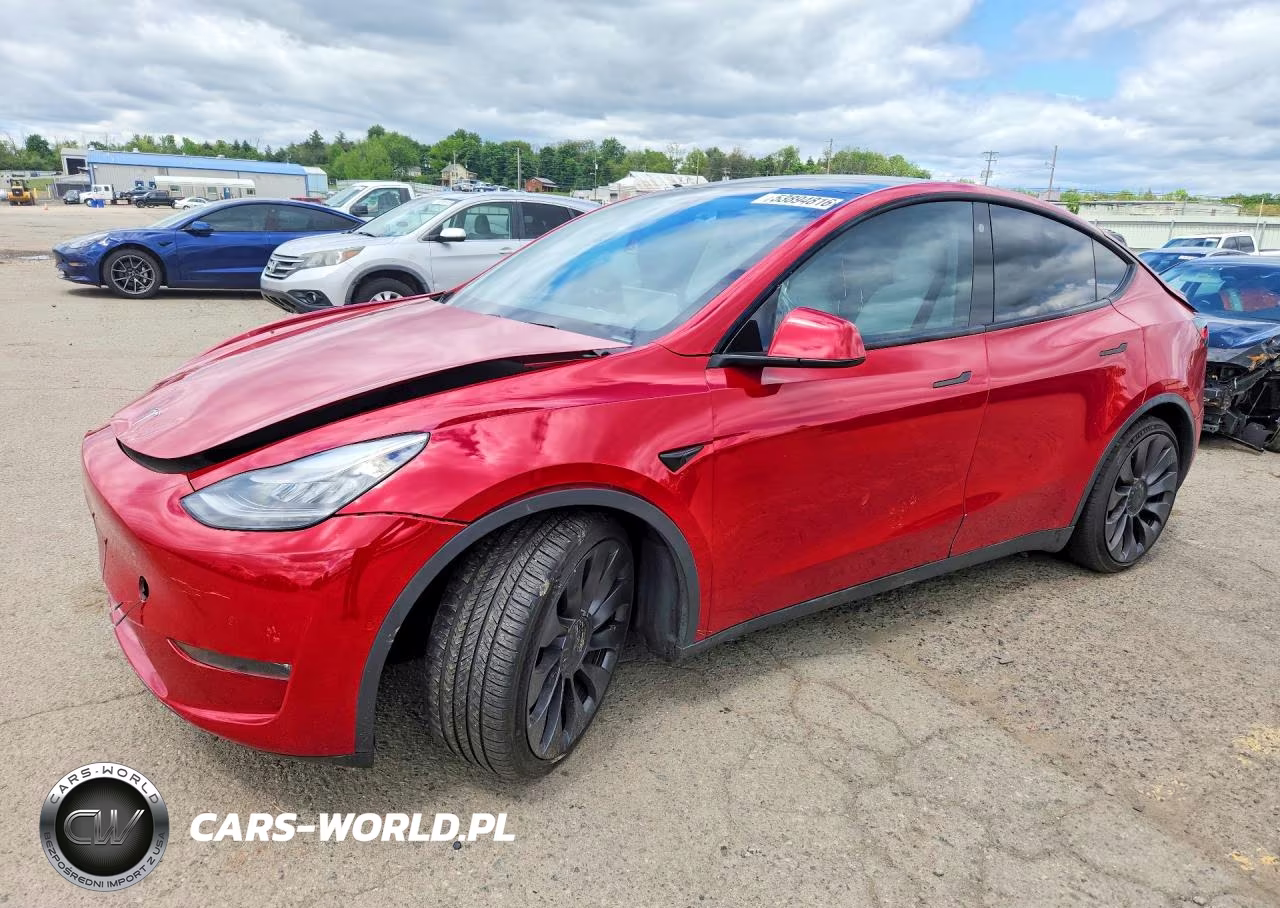 2021 Tesla Model Y