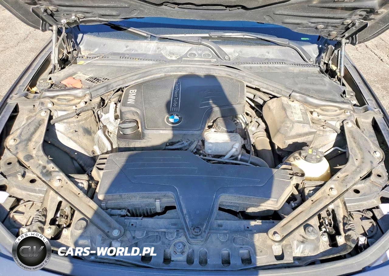 2014 BMW 428 Xi Sulev VIN:WBA3T1C55EPS98512 - 11