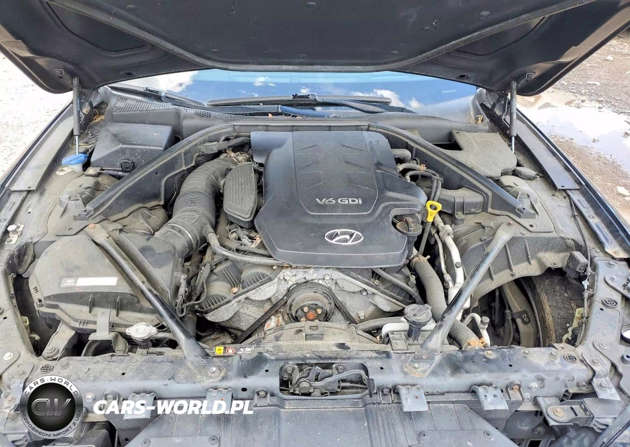2015 Hyundai Genesis 3.8L VIN:KMHGN4JE4FU059129 - 11