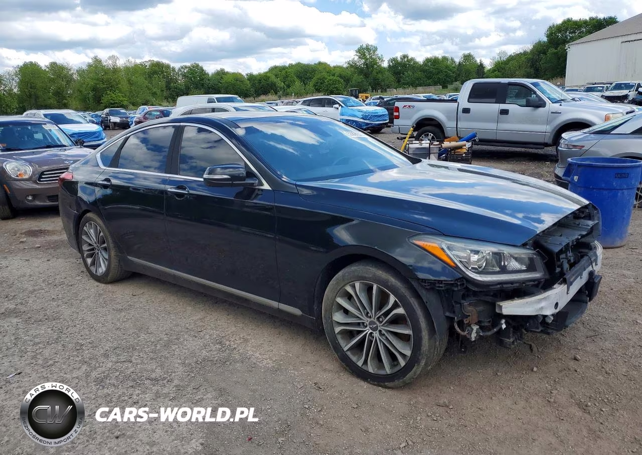 2015 Hyundai Genesis 3.8L VIN:KMHGN4JE4FU059129 - 4