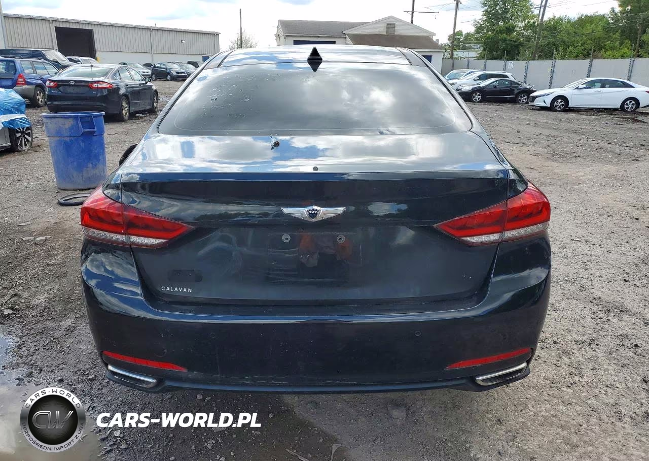 2015 Hyundai Genesis 3.8L VIN:KMHGN4JE4FU059129 - 6