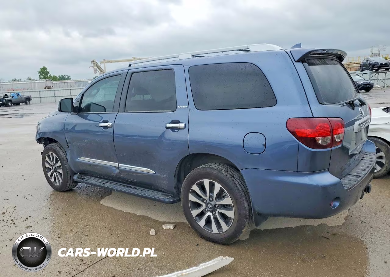 2020 Toyota Sequoia Limited VIN:5TDJY5G19LS180492 - 2