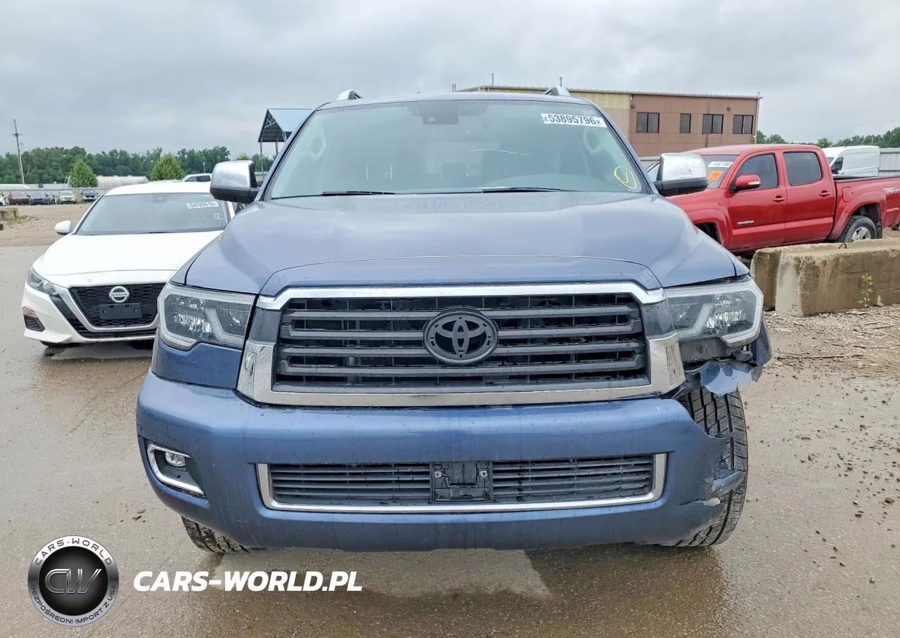 2020 Toyota Sequoia Limited VIN:5TDJY5G19LS180492 - 5
