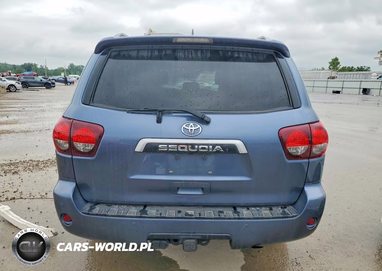 2020 Toyota Sequoia Limited VIN:5TDJY5G19LS180492 - 6