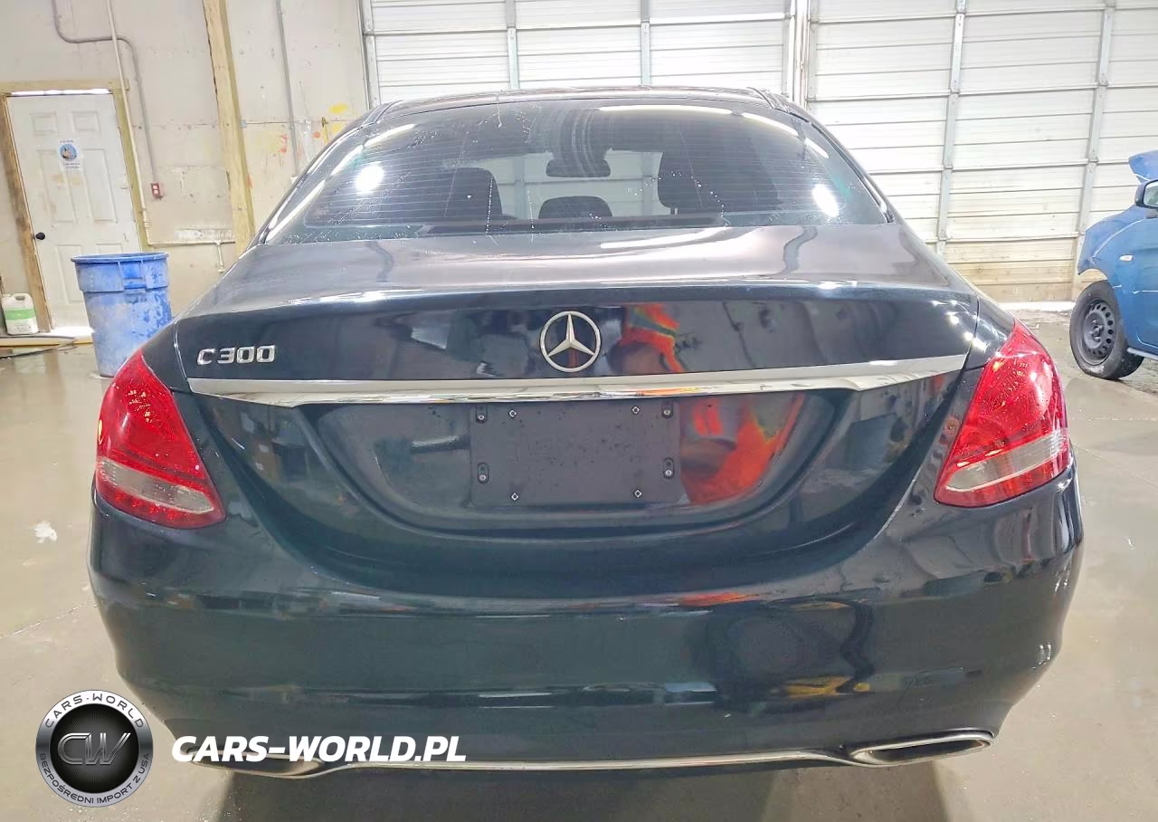 2016 Mercedes-Benz C 300 VIN:55SWF4JB3GU149139 - 6