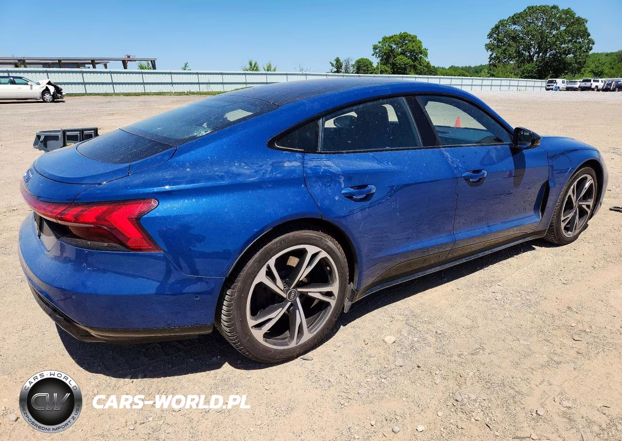 2022 Audi E-Tron Gt VIN:WAUEJBFW5N7003658 - 3