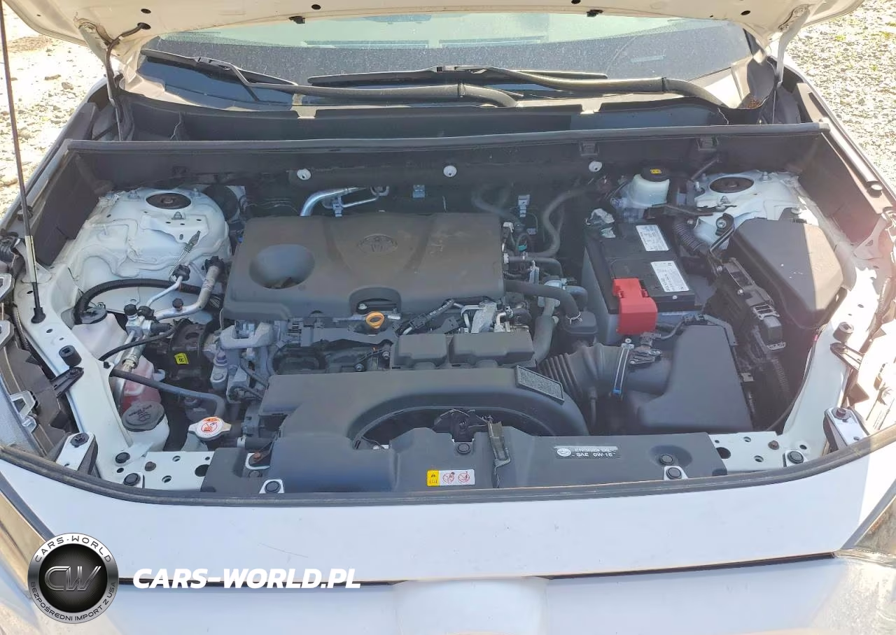 2019 Toyota Rav4 Le VIN:2T3F1RFV4KC028155 - 12