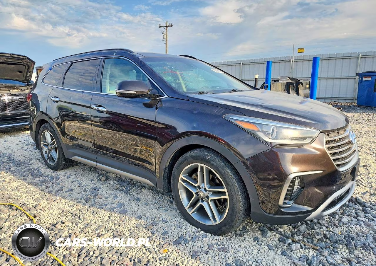 2018 Hyundai Santa Fe Limited Ultimate VIN:KM8SRDHF0JU261455 - 4