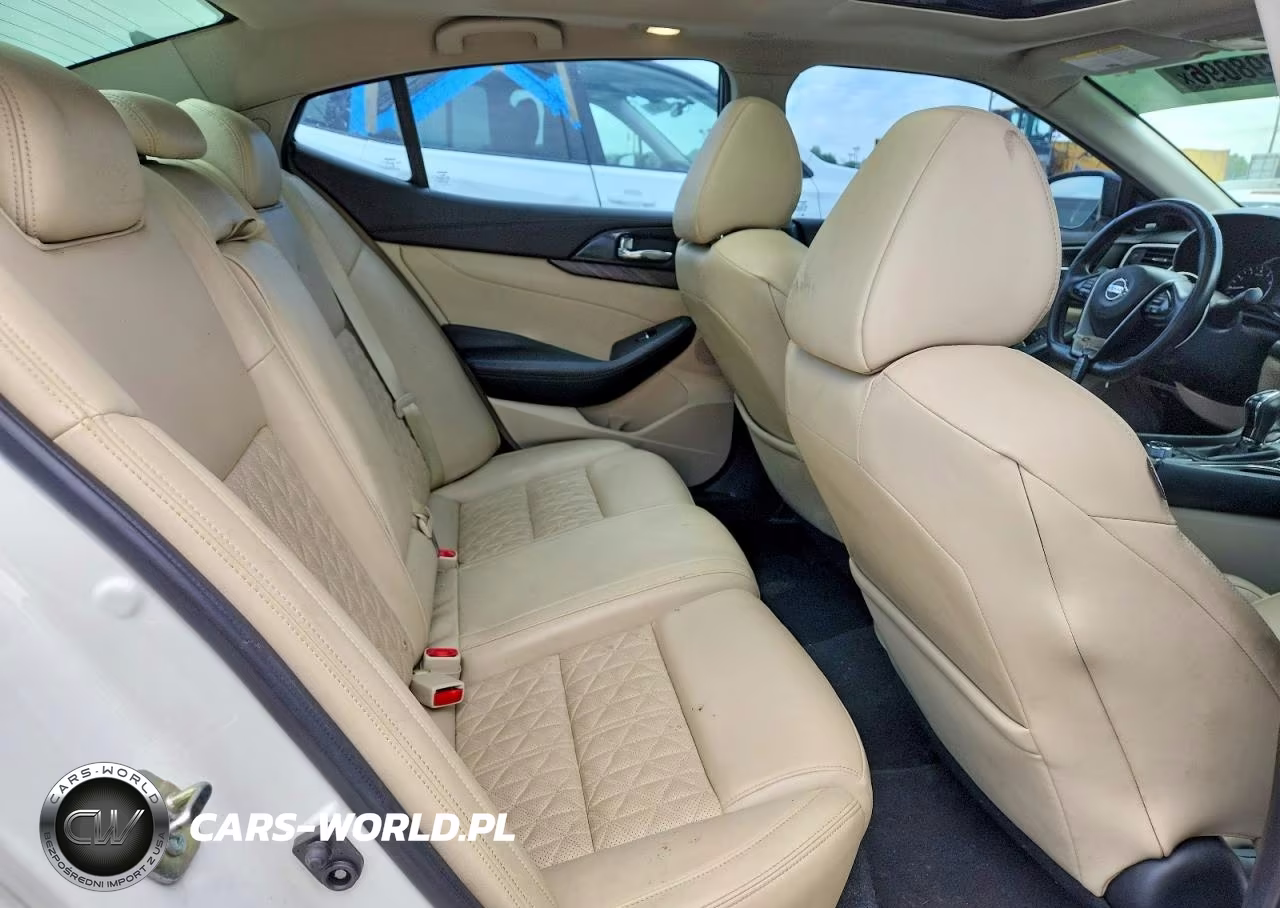 2017 Nissan Maxima Platinum VIN:1N4AA6AP4HC420747 - 10
