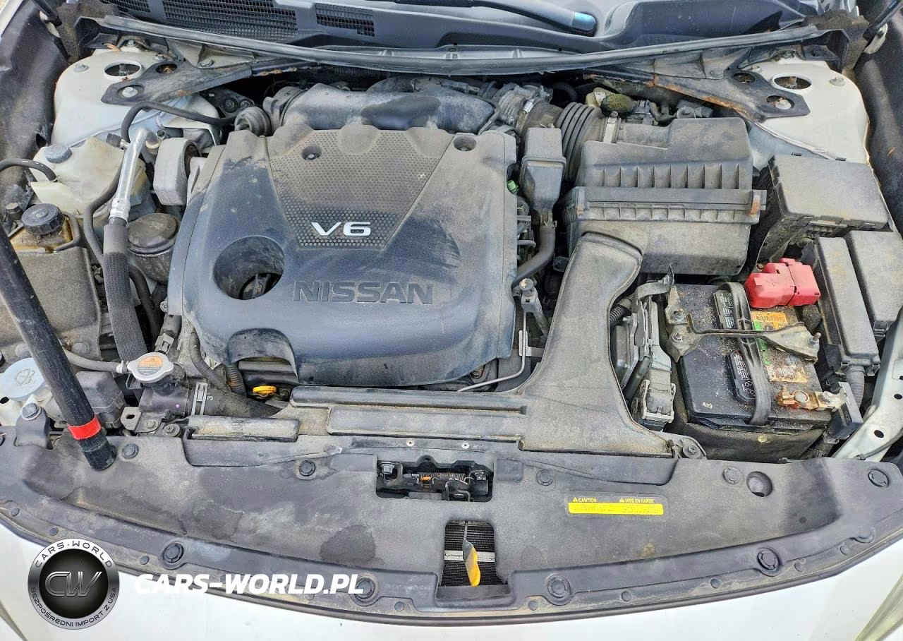 2017 Nissan Maxima Platinum VIN:1N4AA6AP4HC420747 - 11