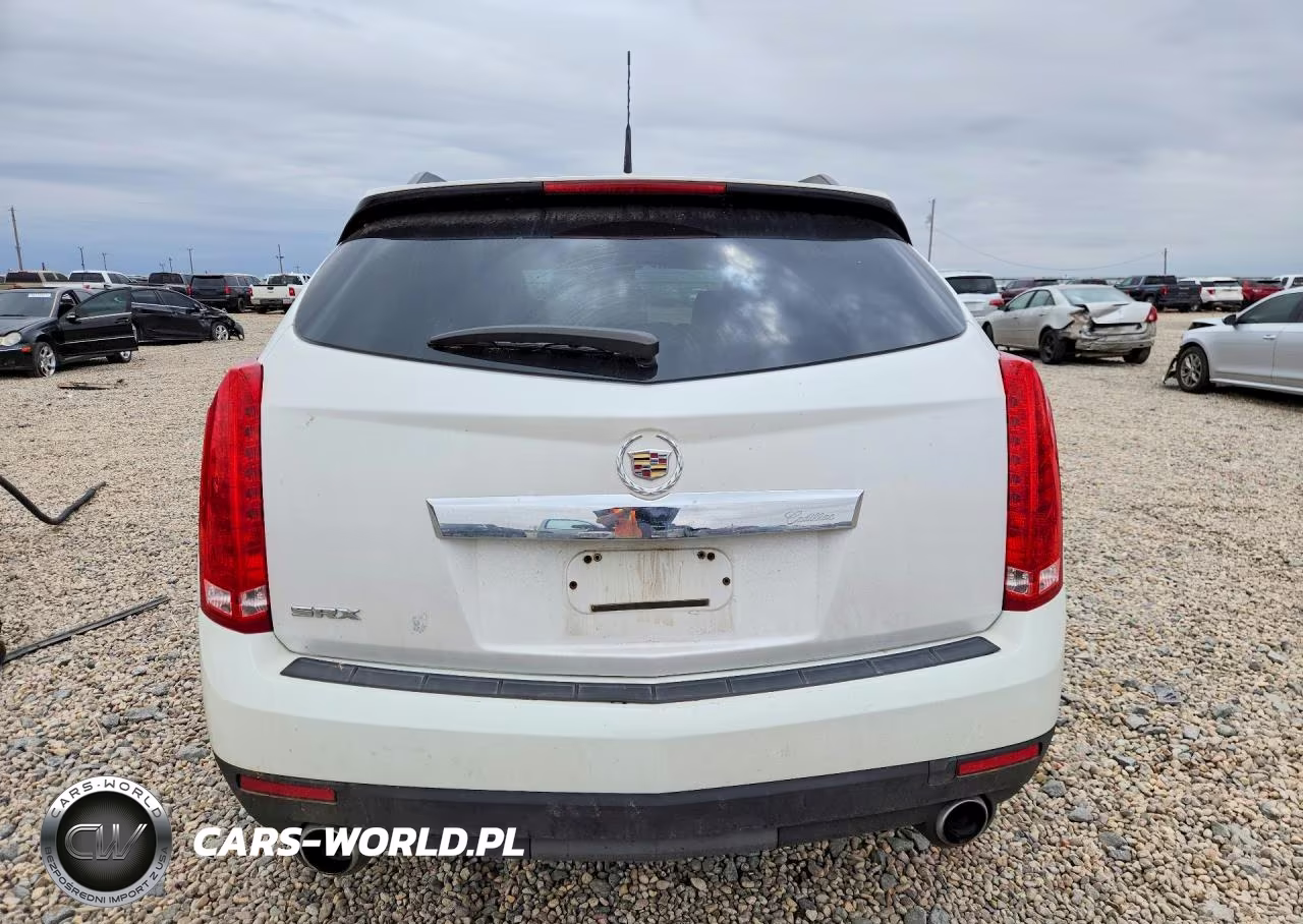 2010 Cadillac Srx VIN:3GYFNGEY2AS524645 - 6