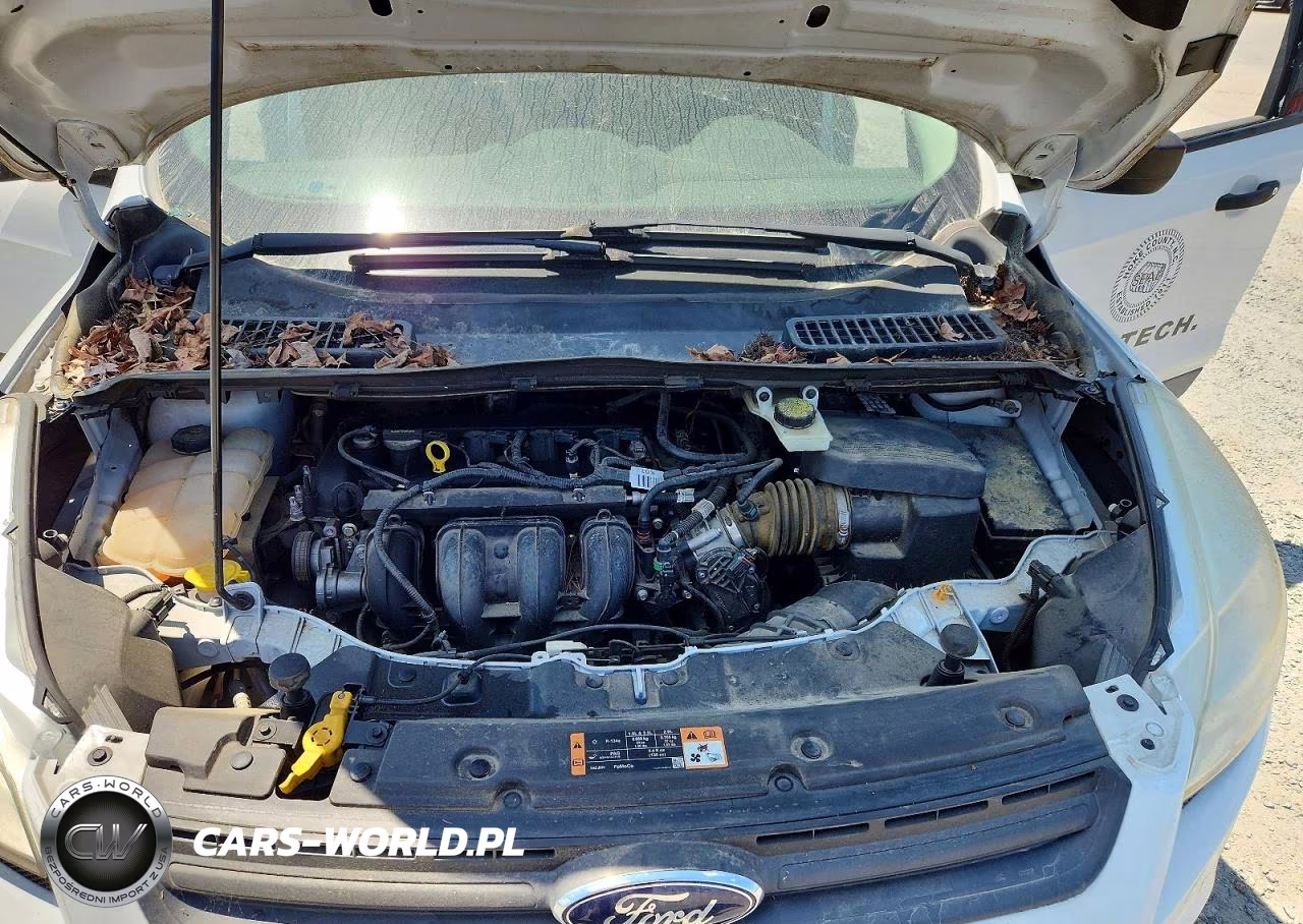 2014 Ford Escape S VIN:1FMCU0F7XEUC00949 - 12