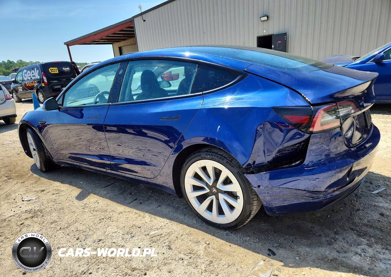 2022 Tesla Model 3 VIN:5YJ3E1EA5NF369872 - 2