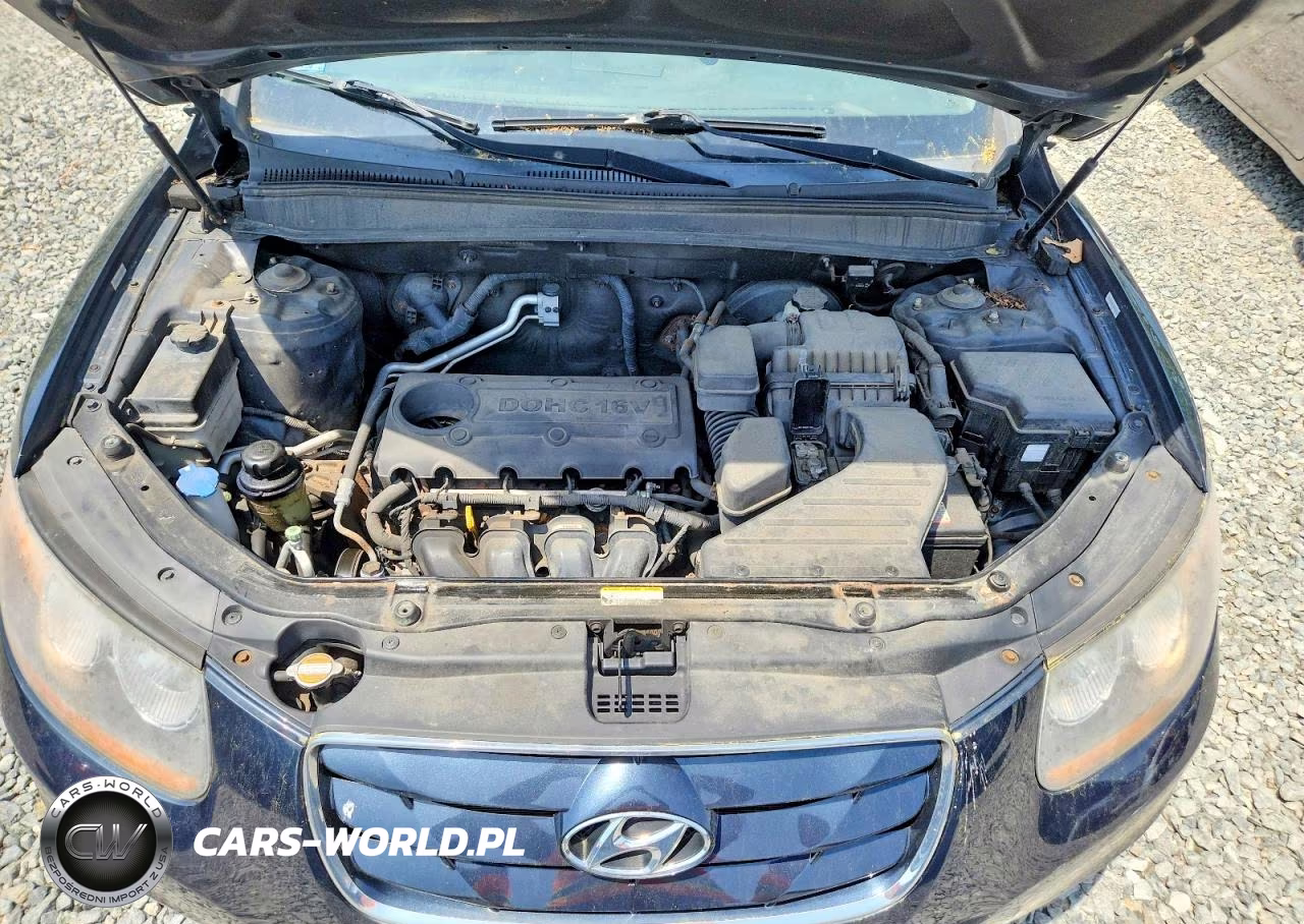 2010 Hyundai Santa Fe Gls VIN:5NMSGDAB5AH347854 - 12