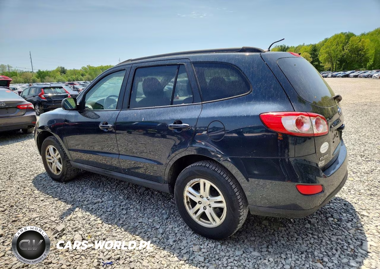 2010 Hyundai Santa Fe Gls VIN:5NMSGDAB5AH347854 - 2