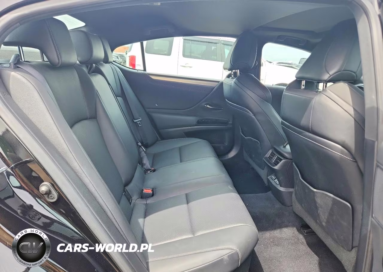2022 Lexus Es 300H F Sport VIN:58AGA1C19NU020094 - 10