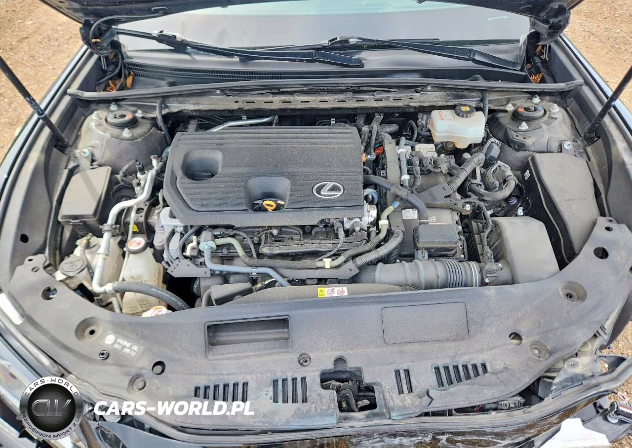 2022 Lexus Es 300H F Sport VIN:58AGA1C19NU020094 - 11
