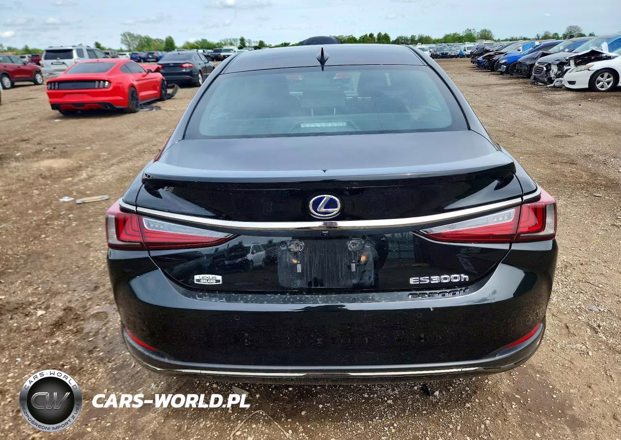 2022 Lexus Es 300H F Sport VIN:58AGA1C19NU020094 - 6