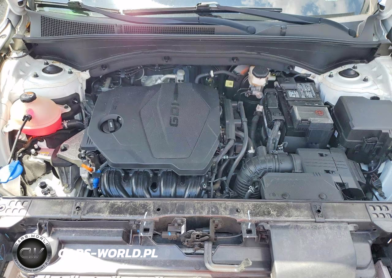 2021 Hyundai Santa Fe Sel VIN:5NMS6DAJ2MH323851 - 12
