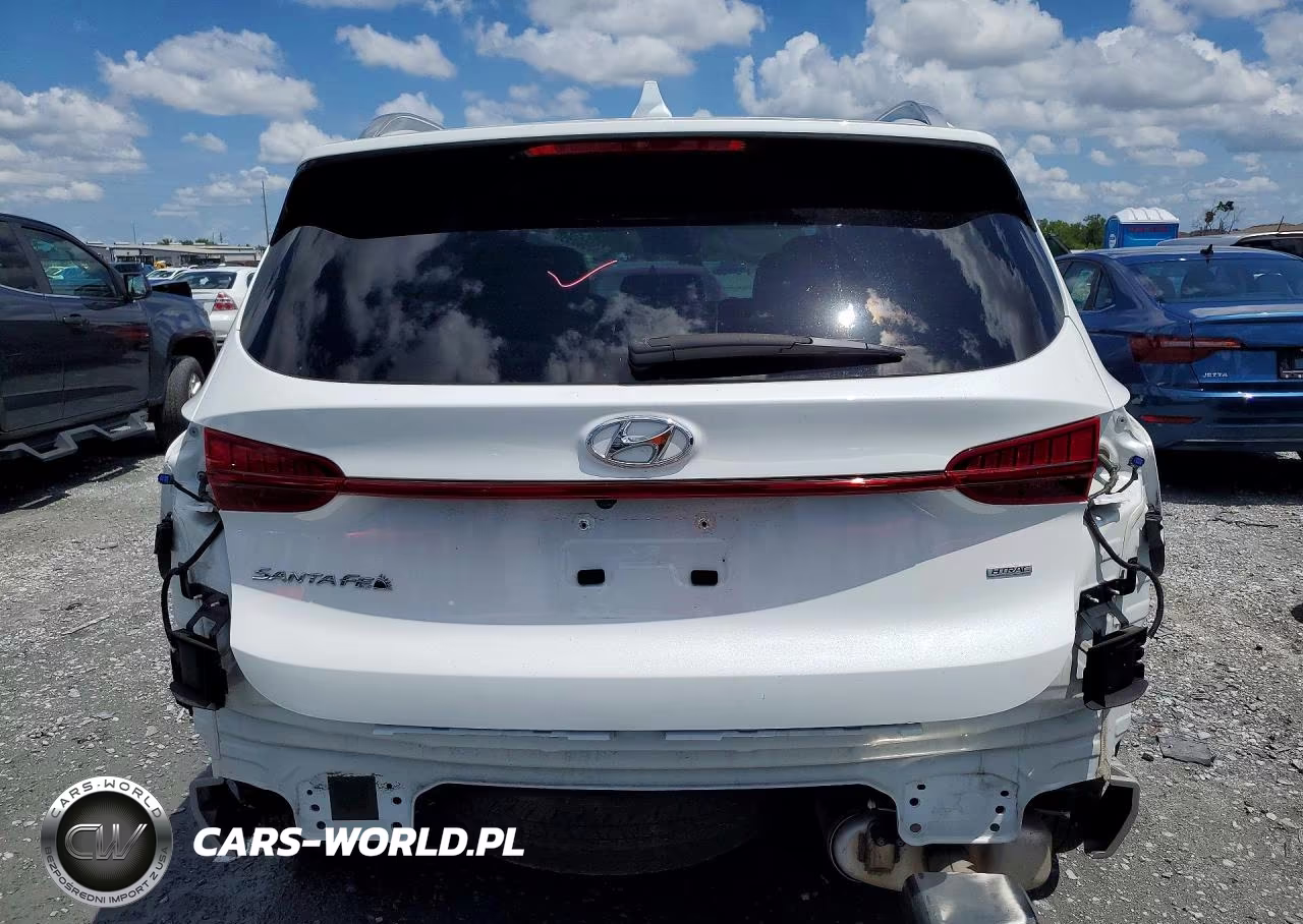 2021 Hyundai Santa Fe Sel VIN:5NMS6DAJ2MH323851 - 6