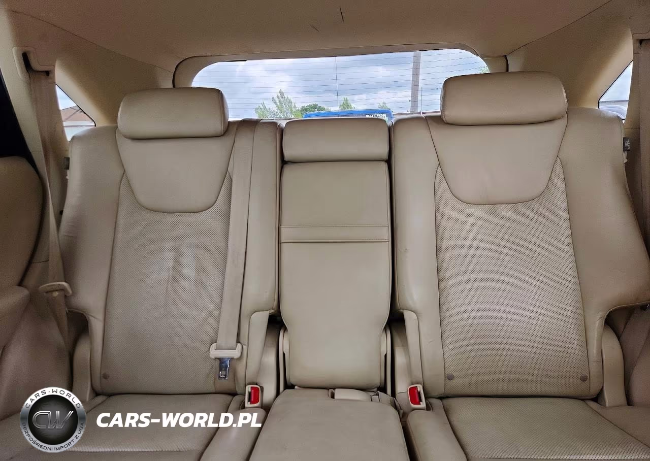 2010 Lexus Rx 350 VIN:JTJZK1BA2A2409469 - 10