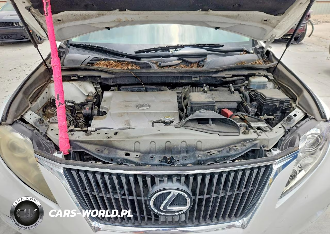 2010 Lexus Rx 350 VIN:JTJZK1BA2A2409469 - 12
