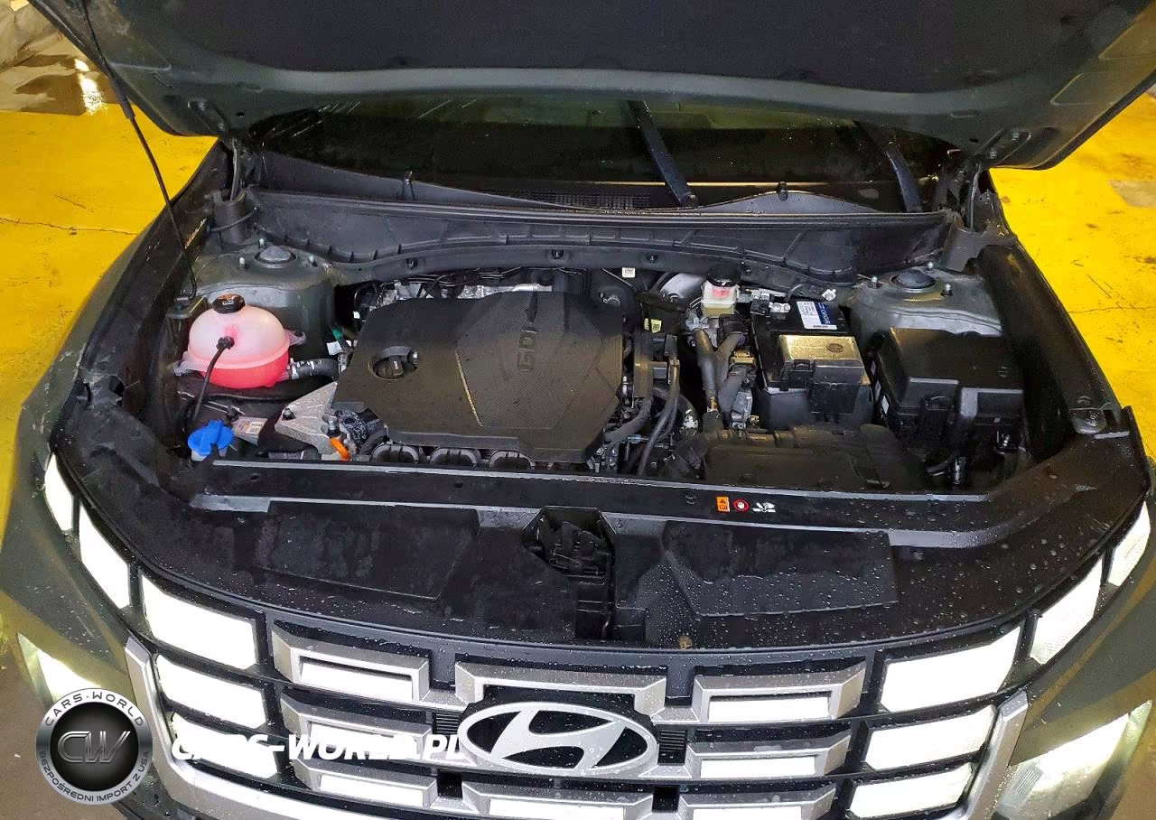 2025 Hyundai Santa Cruz Sel VIN:5NTJBDDE8SH129784 - 11