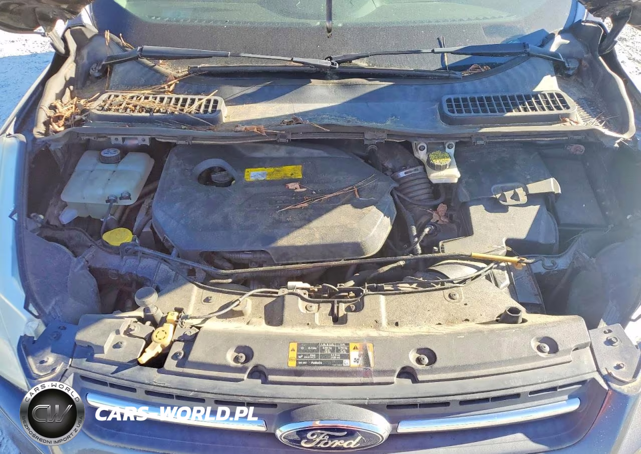 2015 Ford Escape Se VIN:1FMCU0GX3FUA98961 - 12
