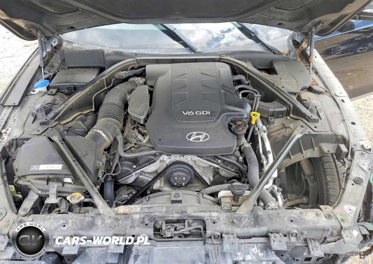 HYUNDAI GENESIS VIN:KMHGN4JE3FU032746 - 11