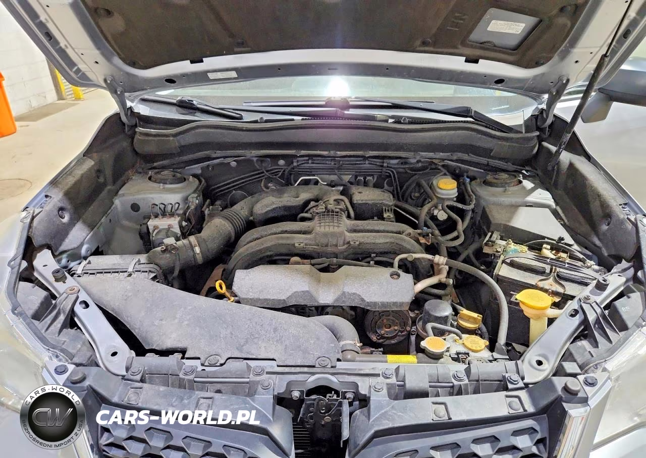 2015 Subaru Forester 2.5I VIN:JF2SJABC1FH557224 - 11