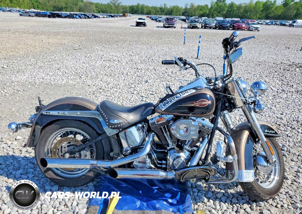 2005 Harley Davidson Flstci