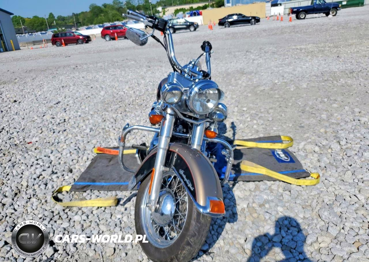 2005 Harley Davidson Flstci VIN:1HD1BWB175Y042552 - 2