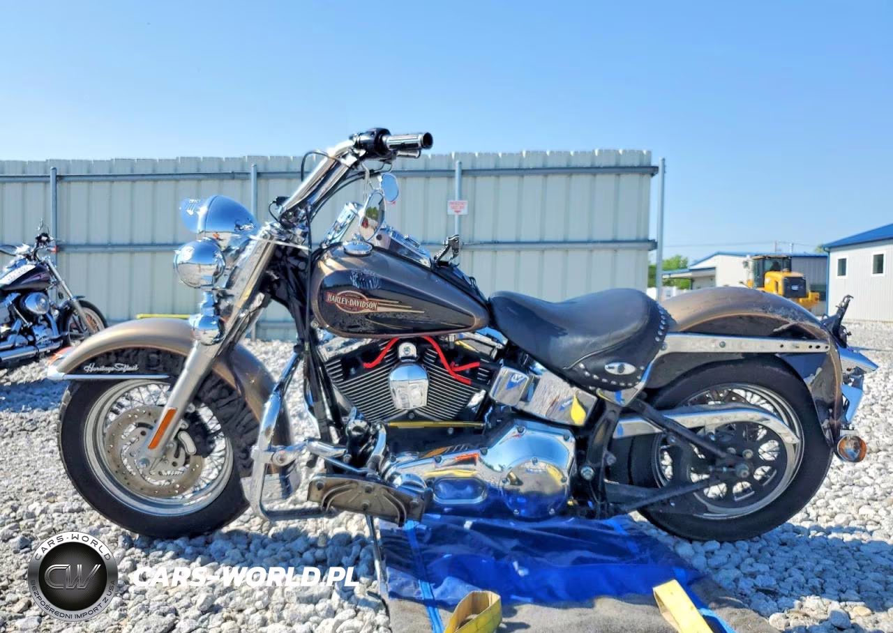 2005 Harley Davidson Flstci VIN:1HD1BWB175Y042552 - 3